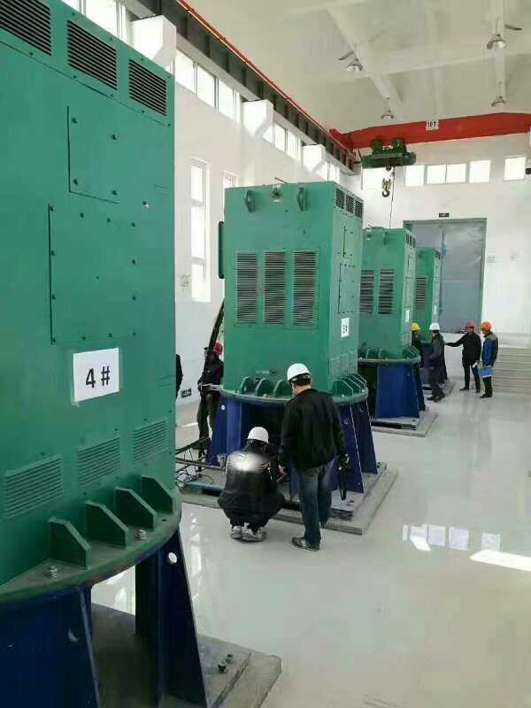 类乌齐某污水处理厂使用我厂的立式高压电机安装现场
